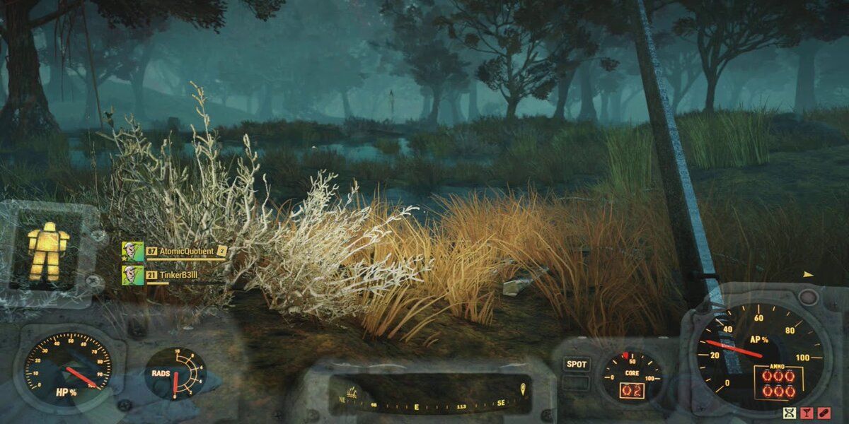 Player Walking Through the Mire Fallout 76