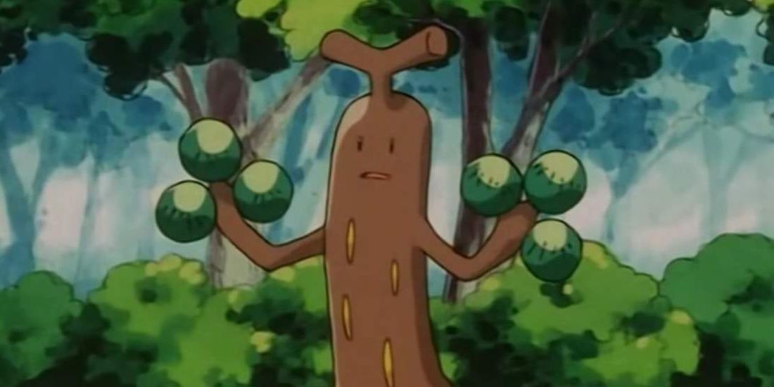 Sudowoodo confused in the forest