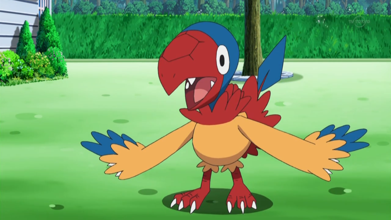 Archen in the Pokemon anime