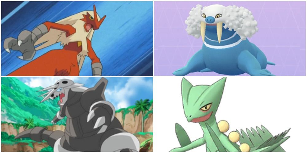 Blaziken Aggron Walrein and Sceptile