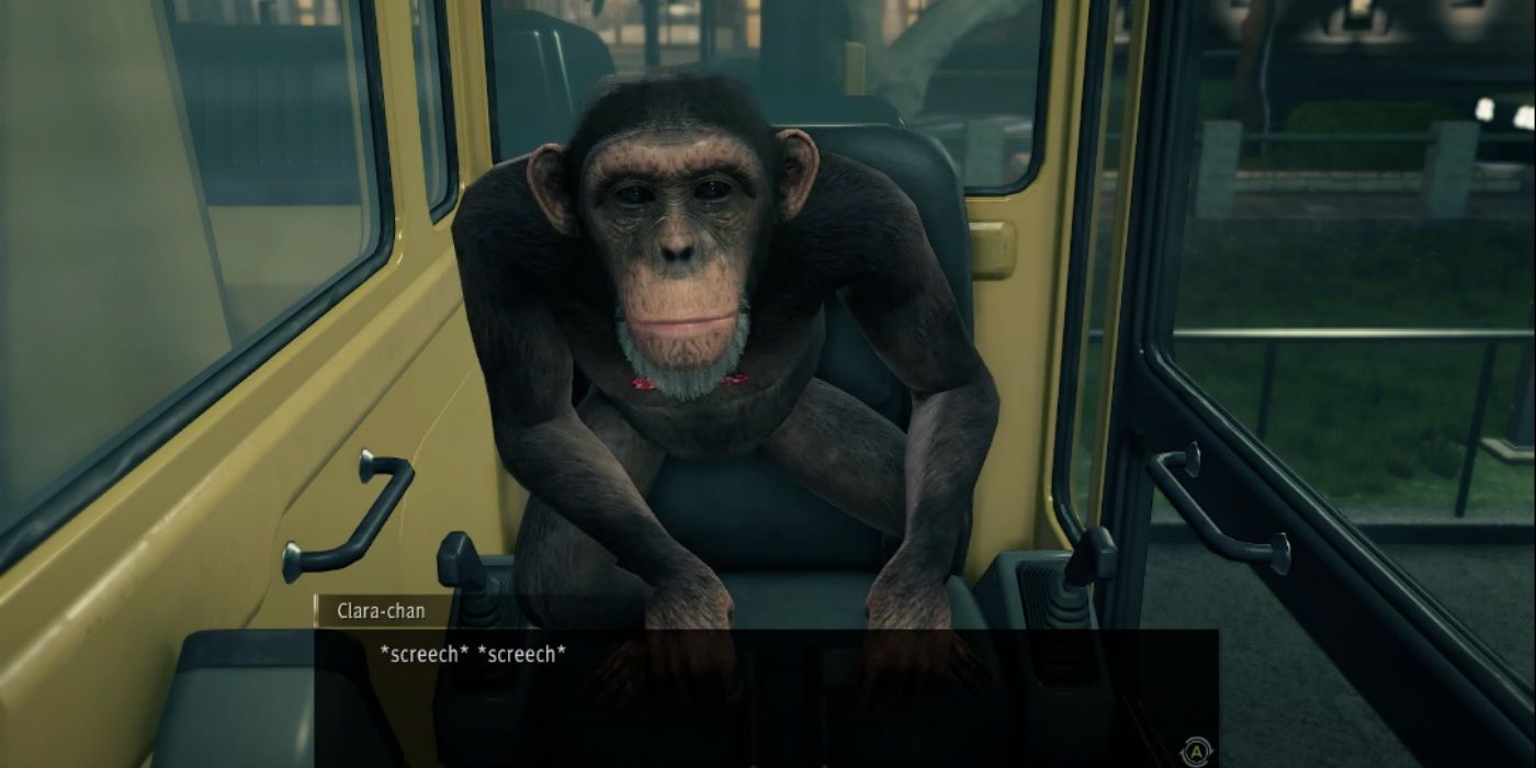 Chimp sitting in a digger 