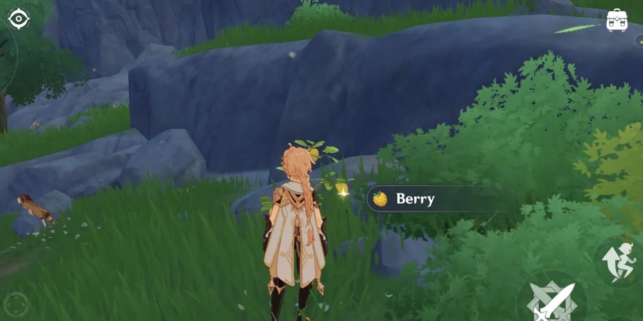 Genshin Loot