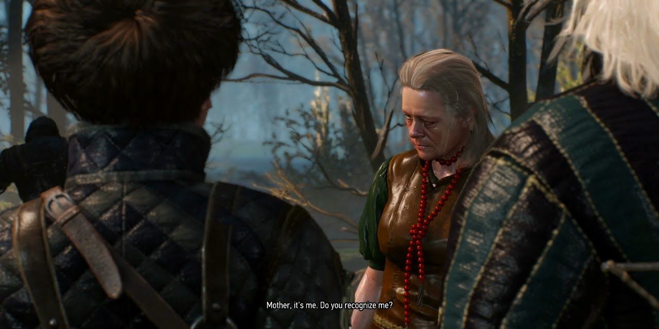 Gran witcher 3