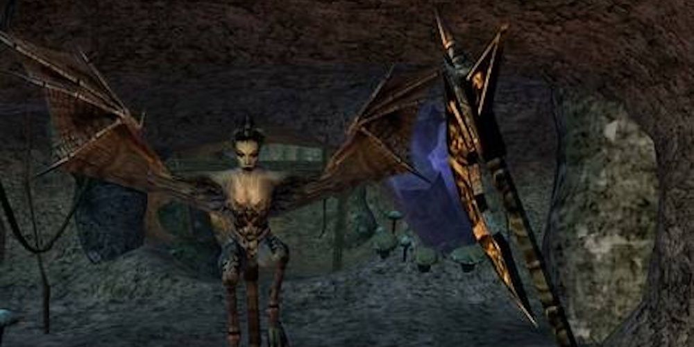 Morrowind Combat in cave
