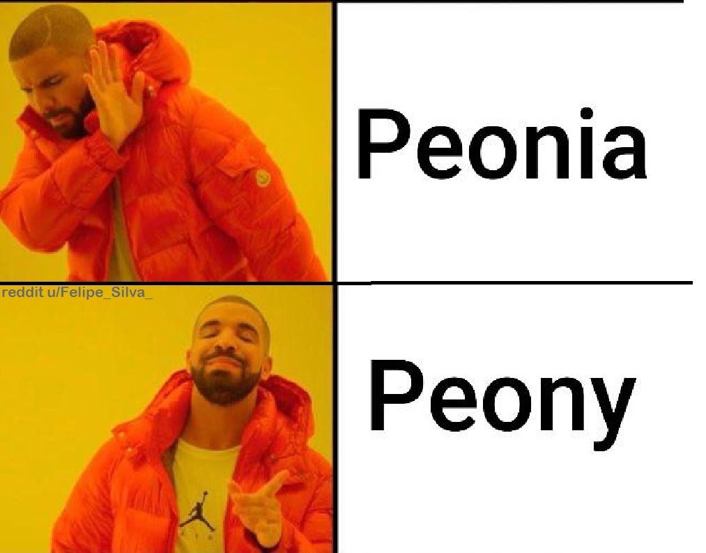 peonia vs peony meme
