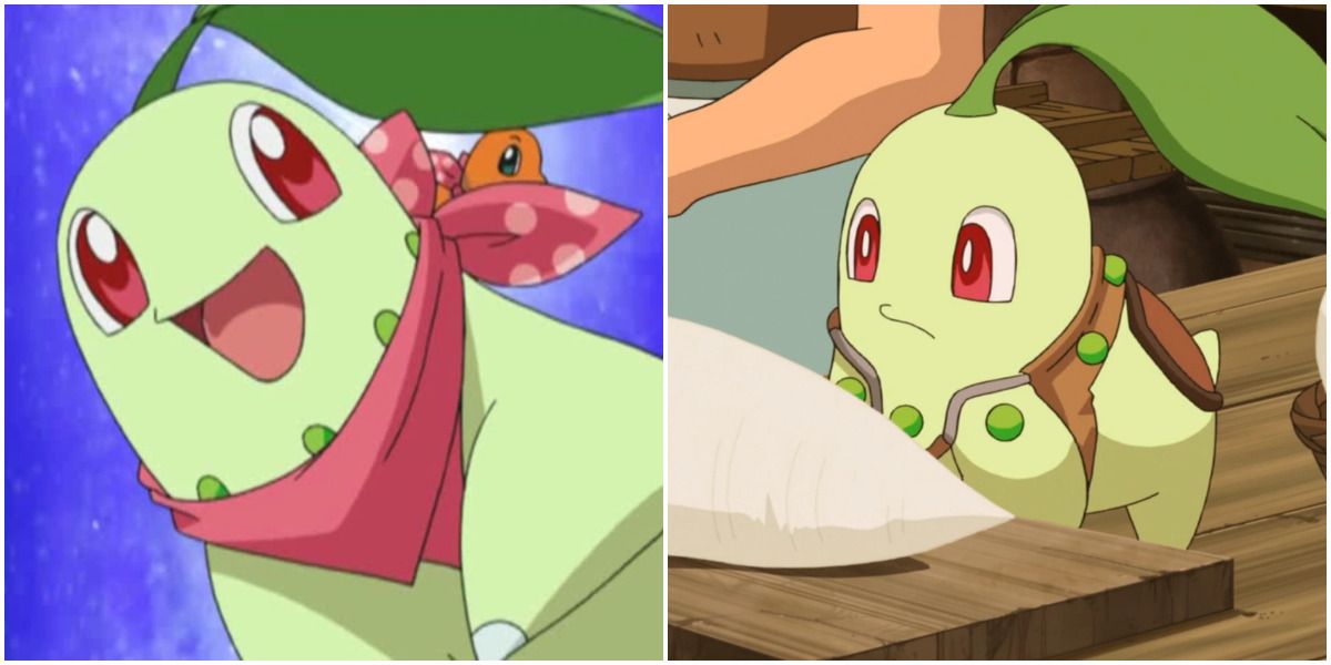 Pokemon Anime Chikorita Wearing Bandana and Investigating
