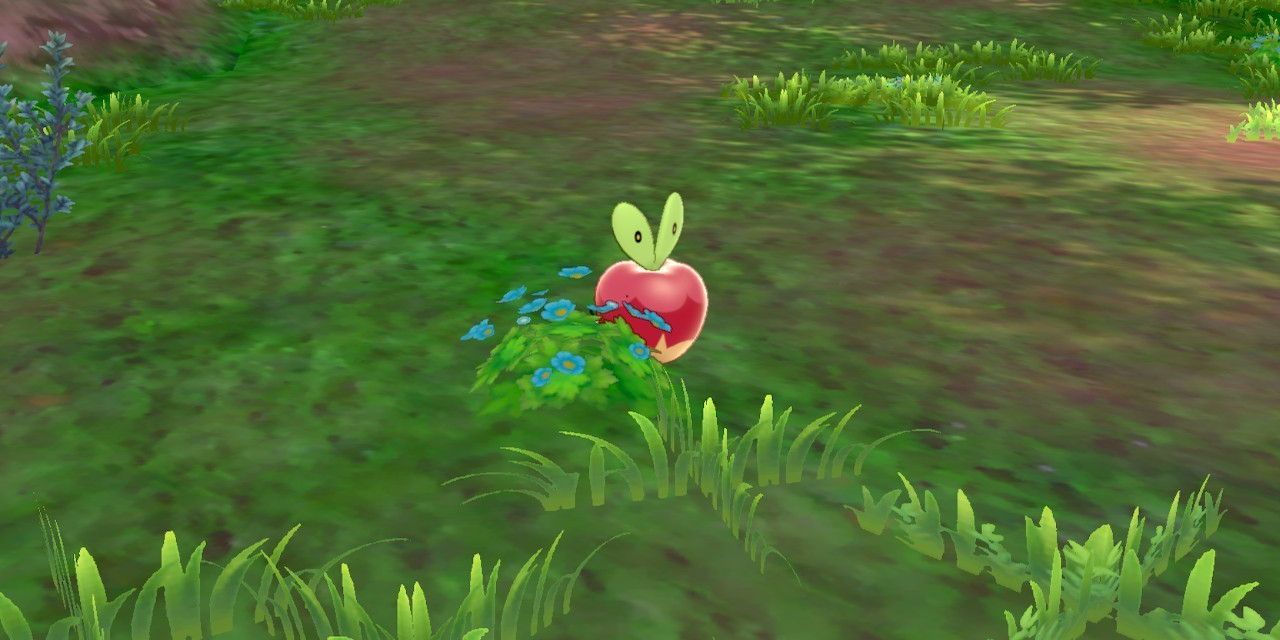 Pokemon Sword Shield Applin In Wild