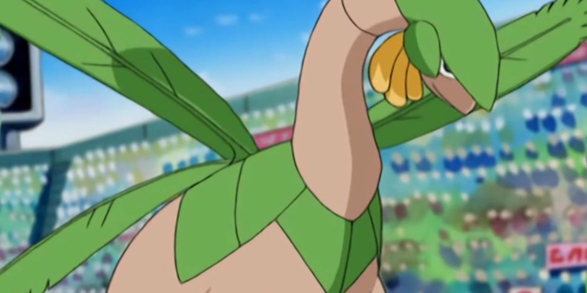 Anime Pokemon Dominick's Tropius Tournament