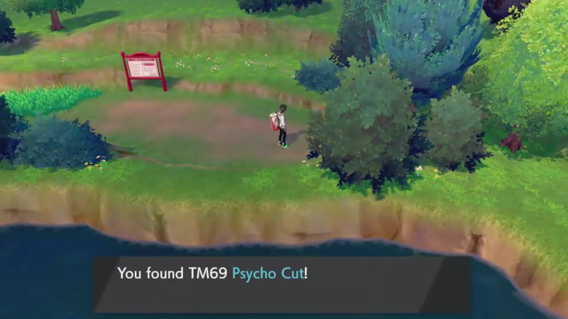 tm69 psycho cut pokemon route 2 galar