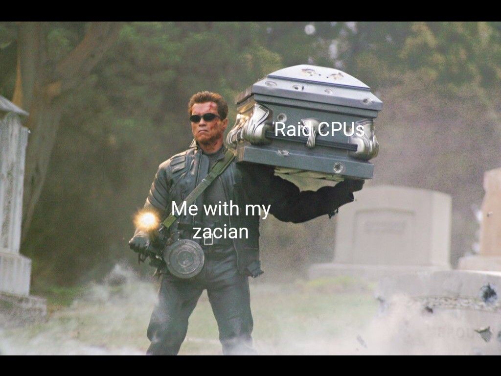Pokemon Sword Shield Carrying Raid NPCs Meme