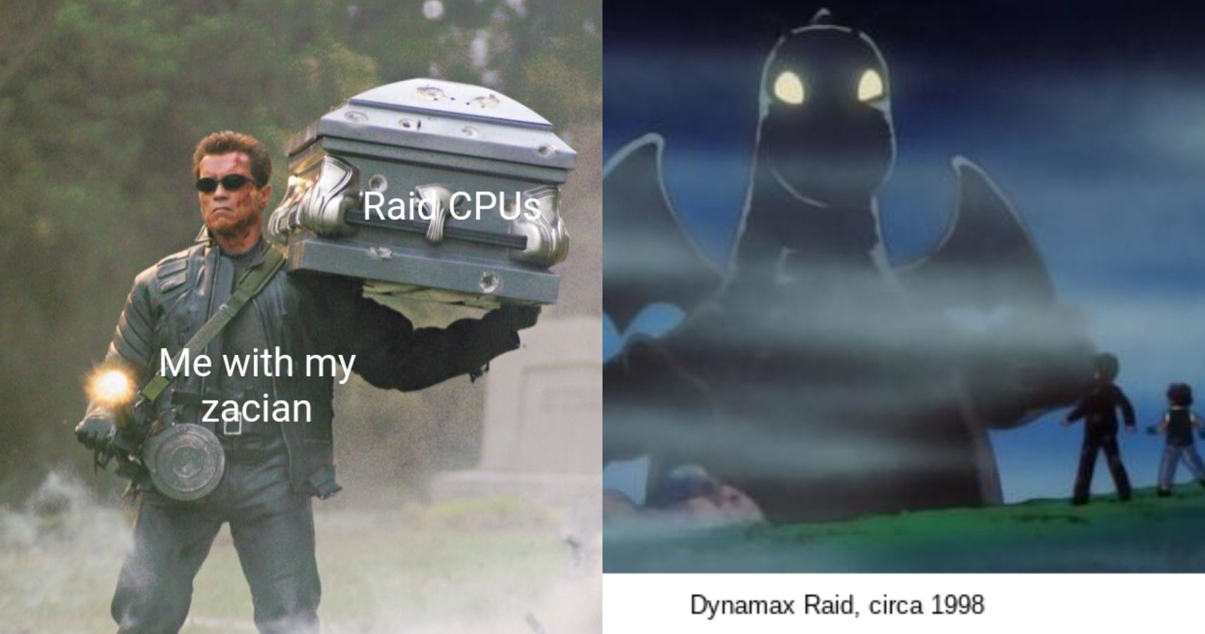 Pokemon Sword Shield Carrying Team First Dynamax Raid