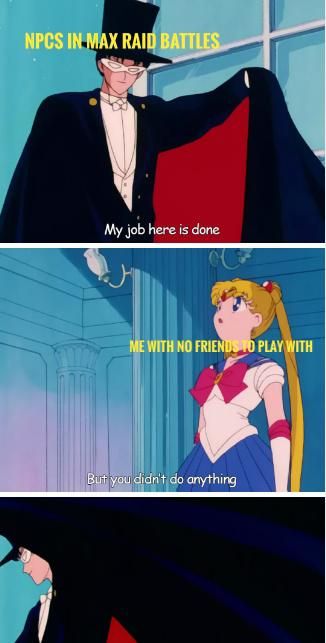 Pokemon Sword Shield Useless NPCS meme