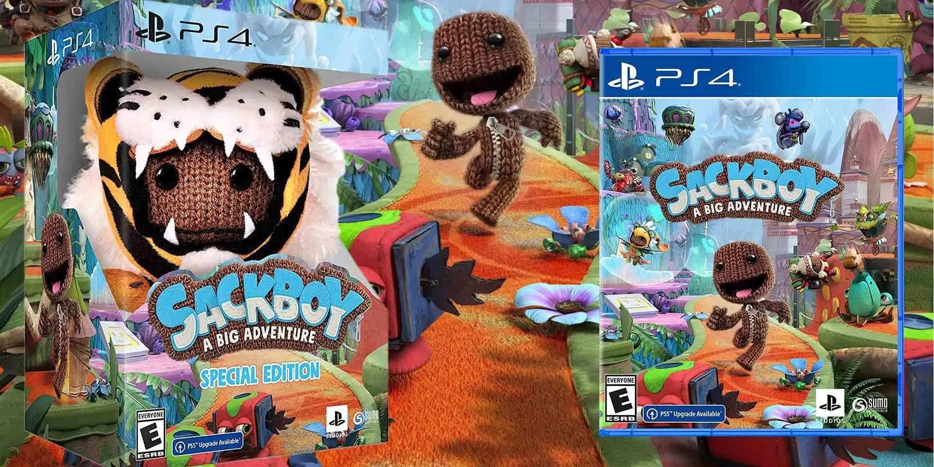Sackboy PS4 Special Edition