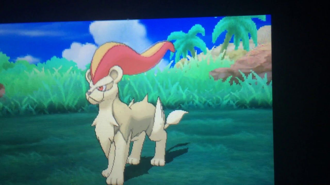 shiny pyroar