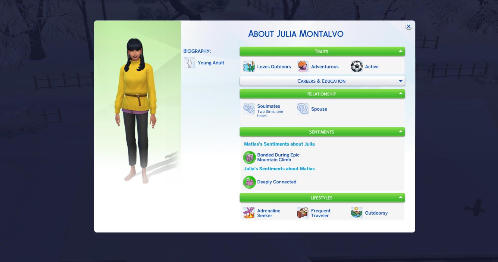 sim profile screen