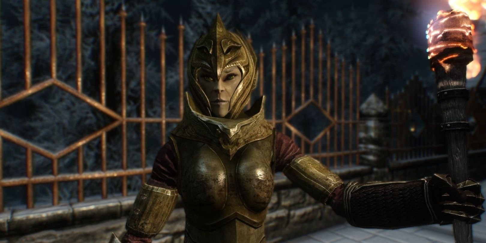 Skyrim screenshot of Thalmor soldier wearing full armor