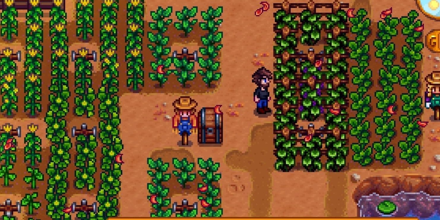 a player standing amongst their crops on the farm in stardew valley