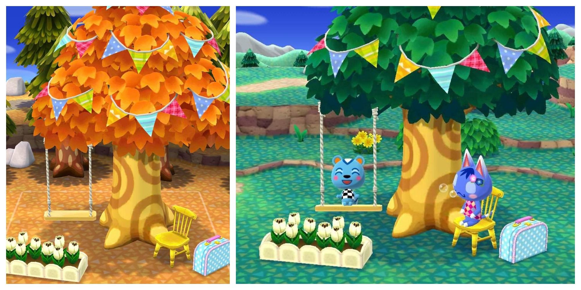 Tree Swing at campsite