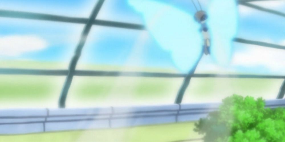 Vivillion's Gust in Pokemon anime
