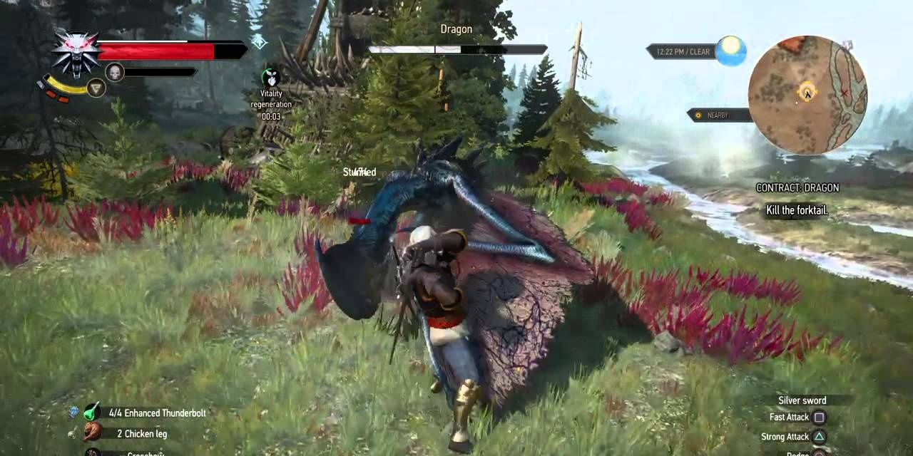 Witcher 3 Dragon