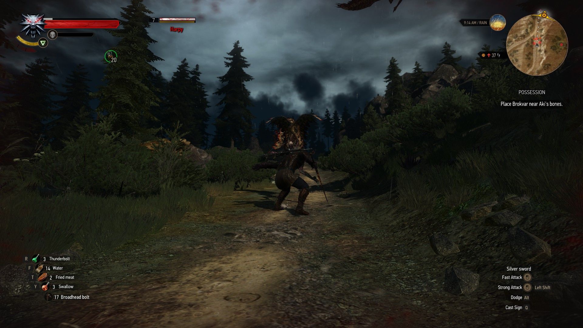 Witcher 3 Harpy Attack
