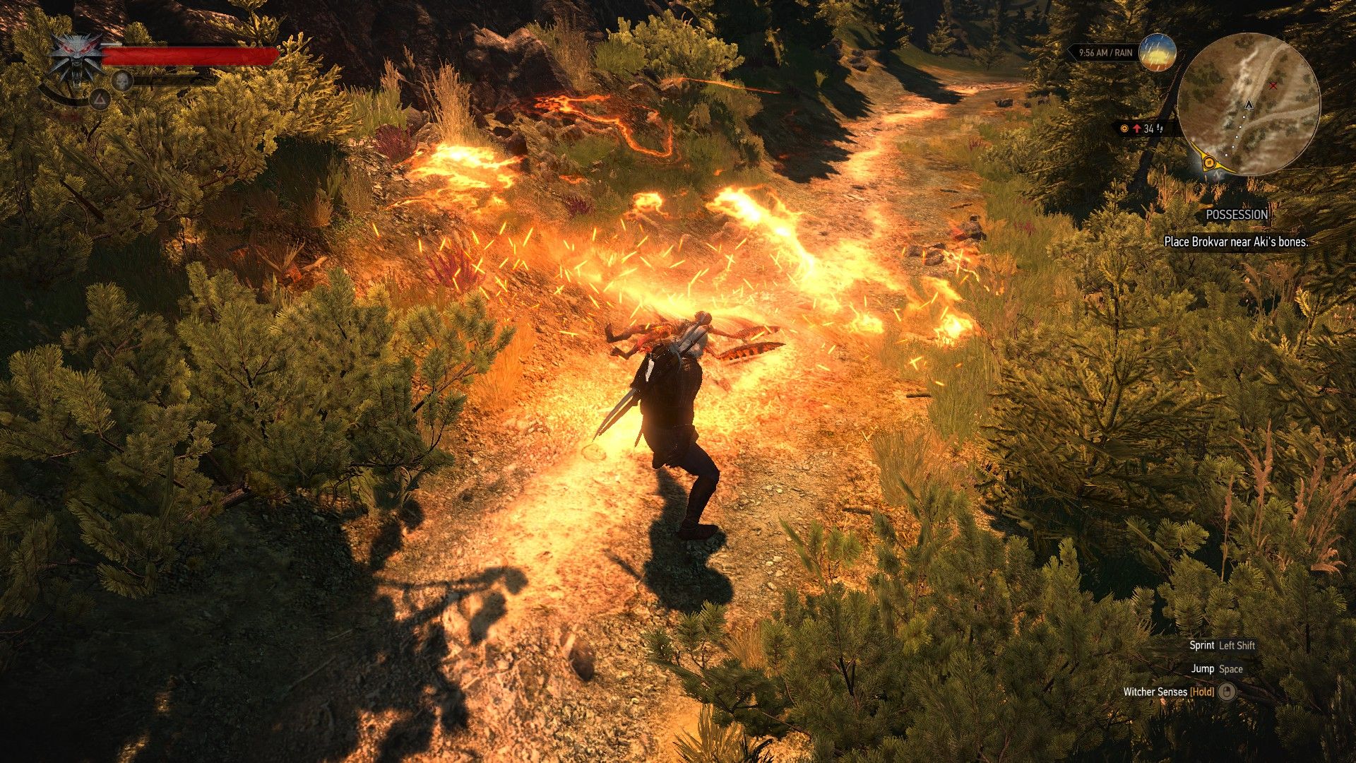 Witcher 3 Igni On Dead Harpy