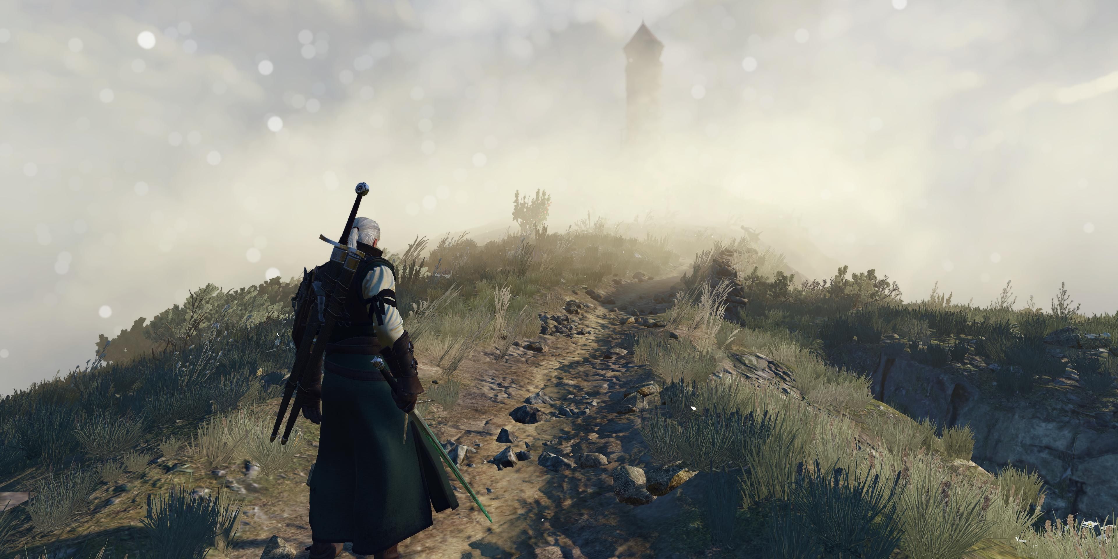 Witcher 3 Phantom of Eldberg