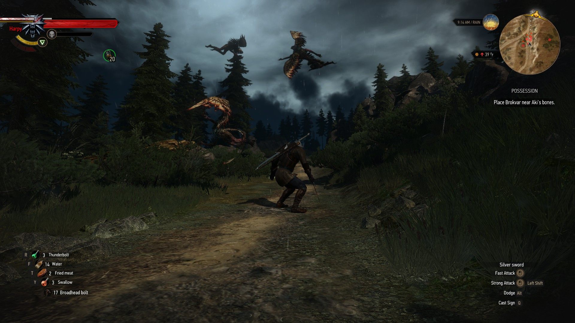 Witcher 3 harpies