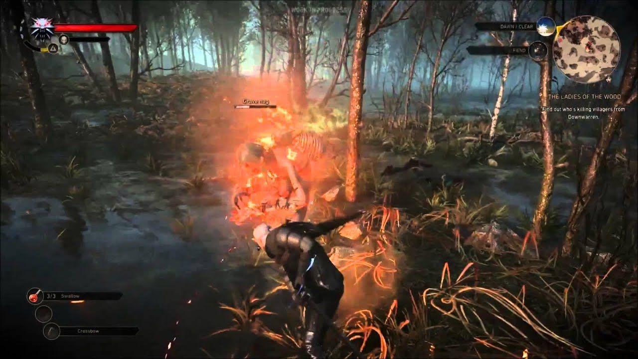 Geralt in combat stance