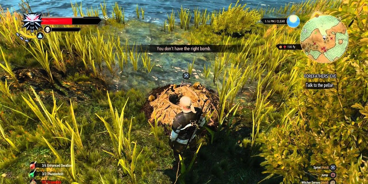 Monster Nest in witcher 3