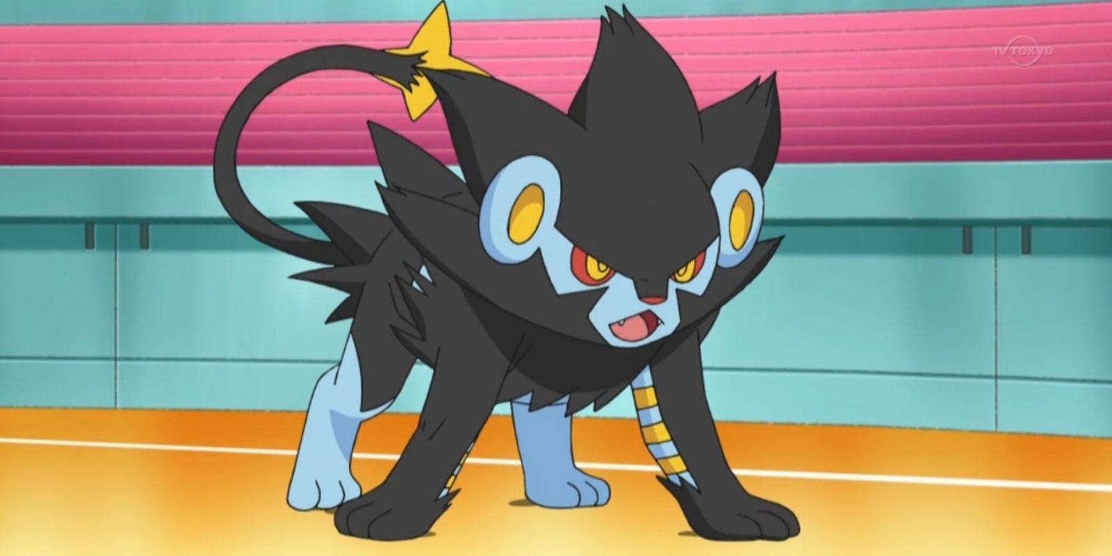 Luxray stands ready on the battle field