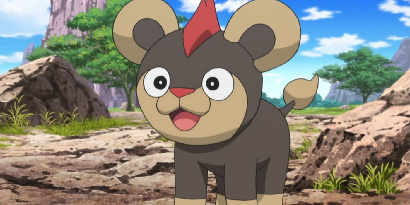 litleo