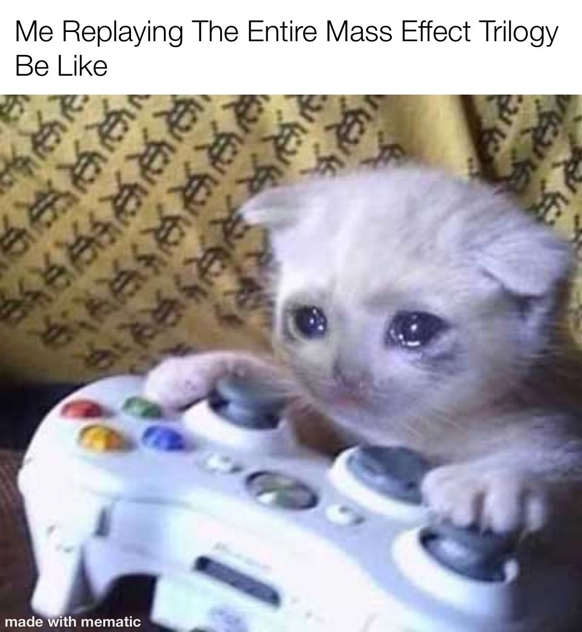sad kitten on xbox controller