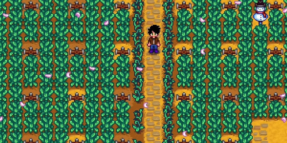 Kale farm in Stardew Valley