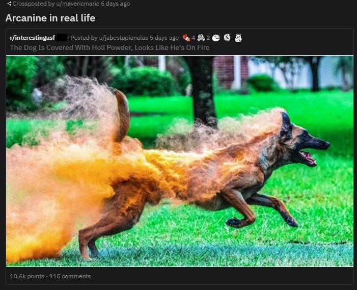 Pokemon meme about Arcanine