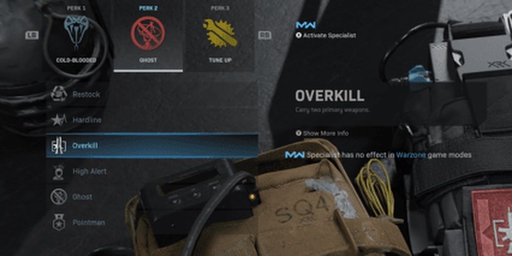 Call Of Duty Warzone Overkill Perk In Loadout