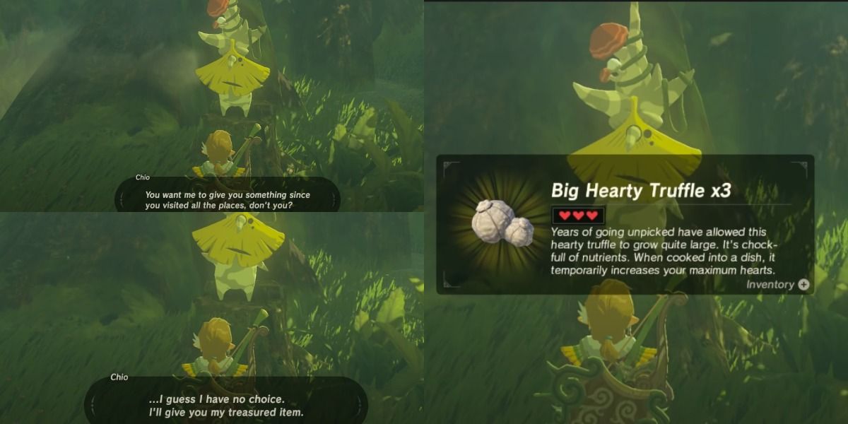 Chio giving Link his most prized possession