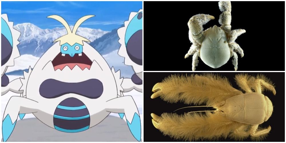 Crabominable and two of his friends, the Kiwa hirsuta (aka yeti crabs)