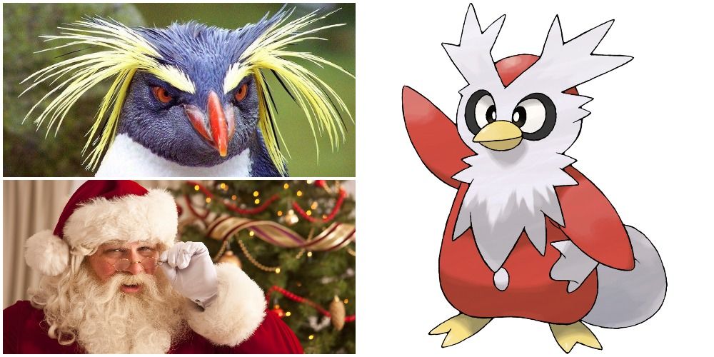 Delibird and his inspirations, rockhoppers and Santa!