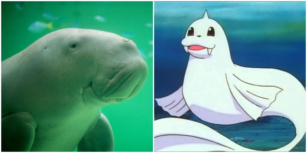 Dewgong and its real-life counterpart, Dugong