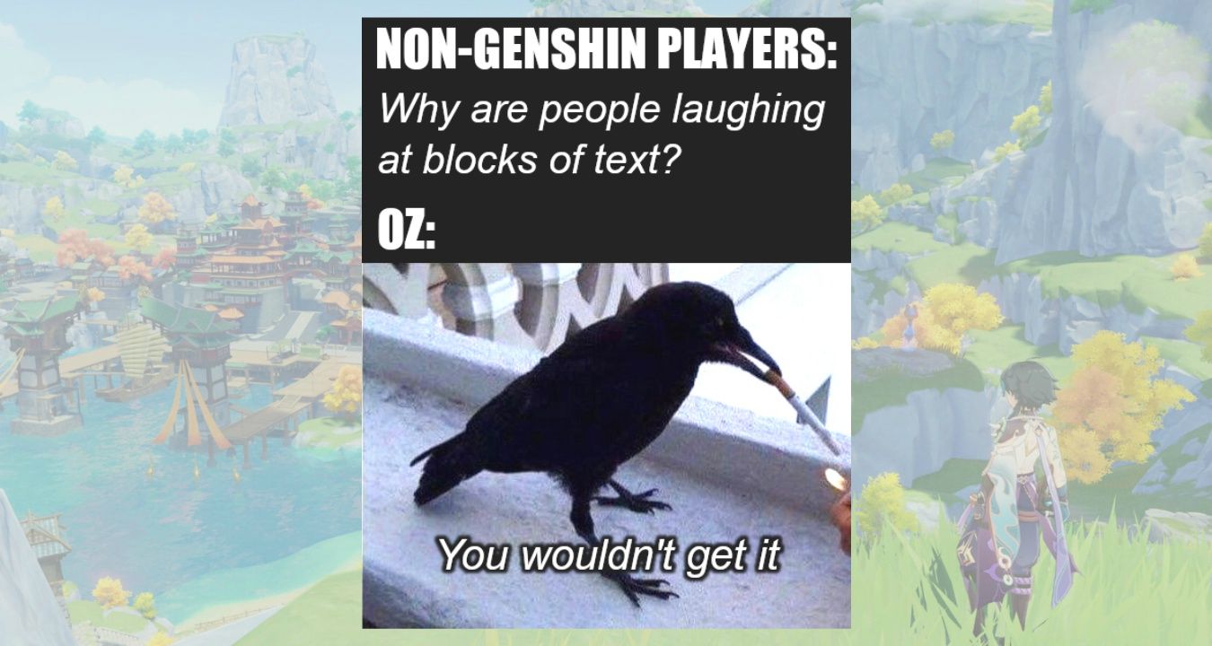 Genshin Impact Player Struggle