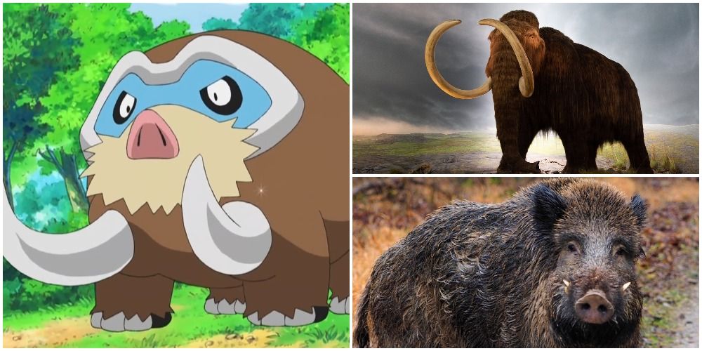Mamoswine, a Woolly Mammoth, and a Wild Boar