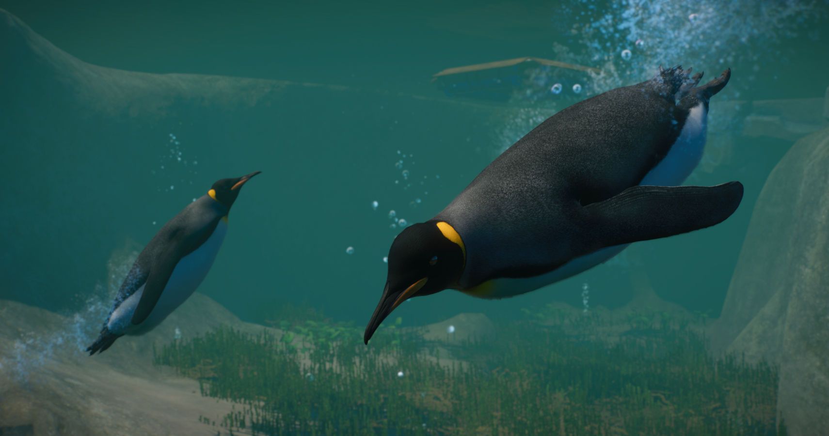 Penguins swimming underwater