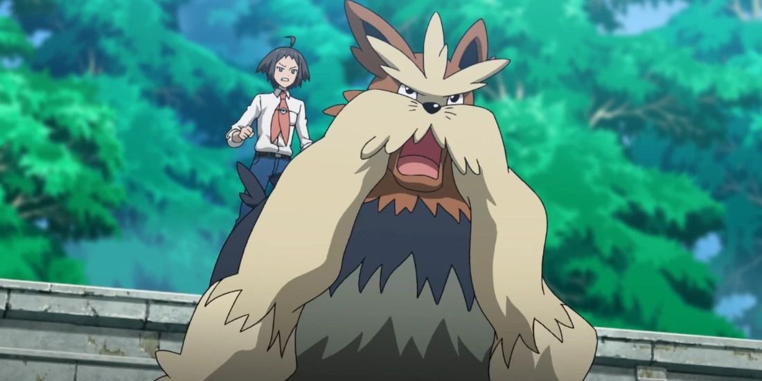Cheren's Stoutland from the Pokemon anime