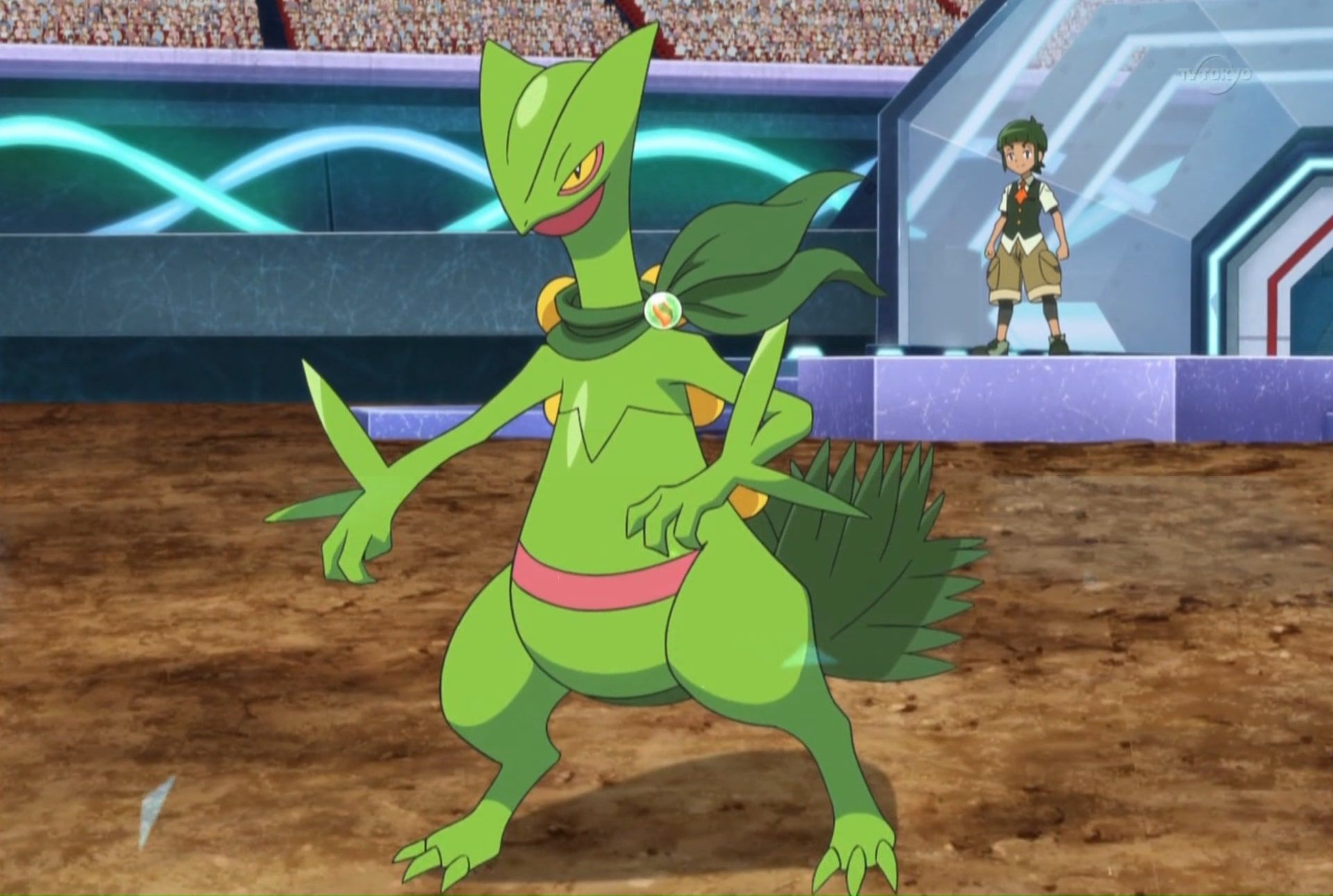 Pokemon Sword Shield Switch Sceptile