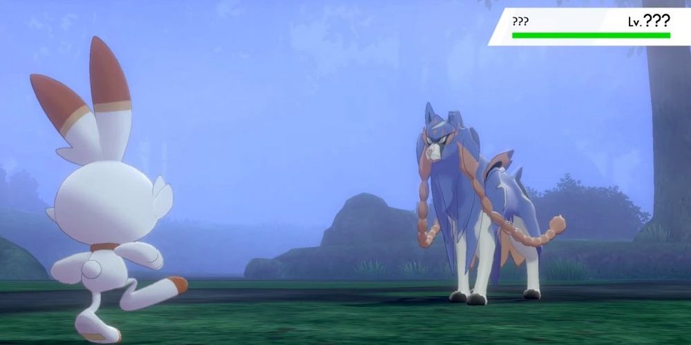 Nintendo Pokemon Sword Shield Foggy Woods Zamazenta Encounter