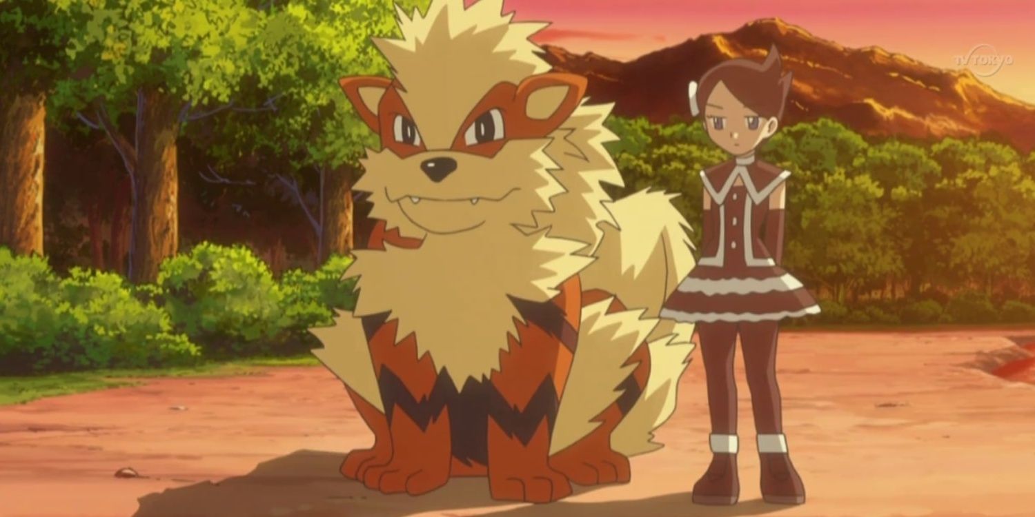 Pokemon Sword Shield Switch Arcanine