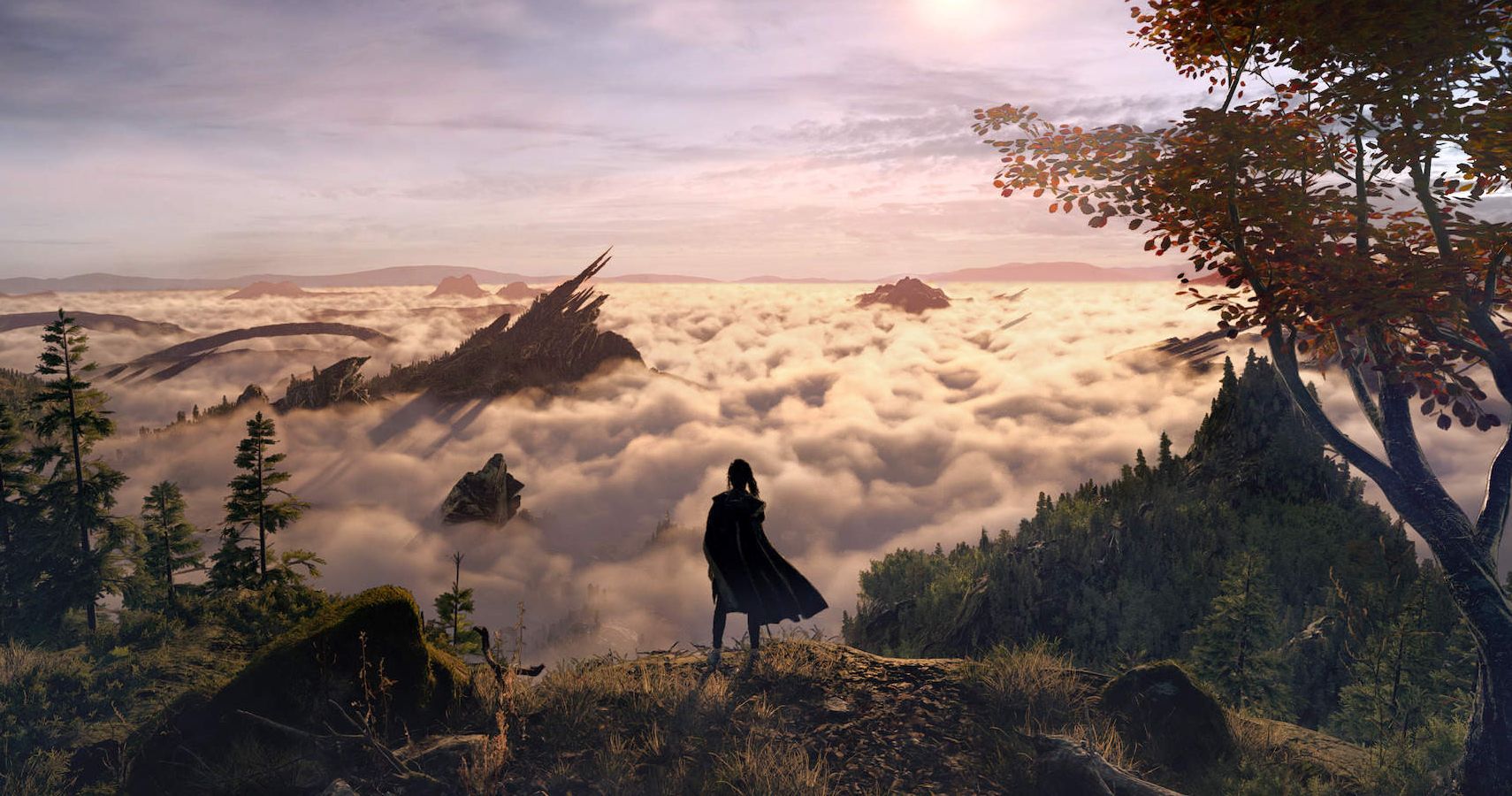 Character standing on a cliff overlooking the distance