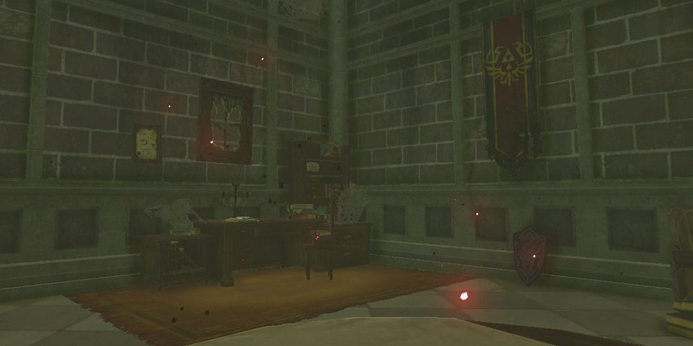 Rhoam's study in Breath of the Wild