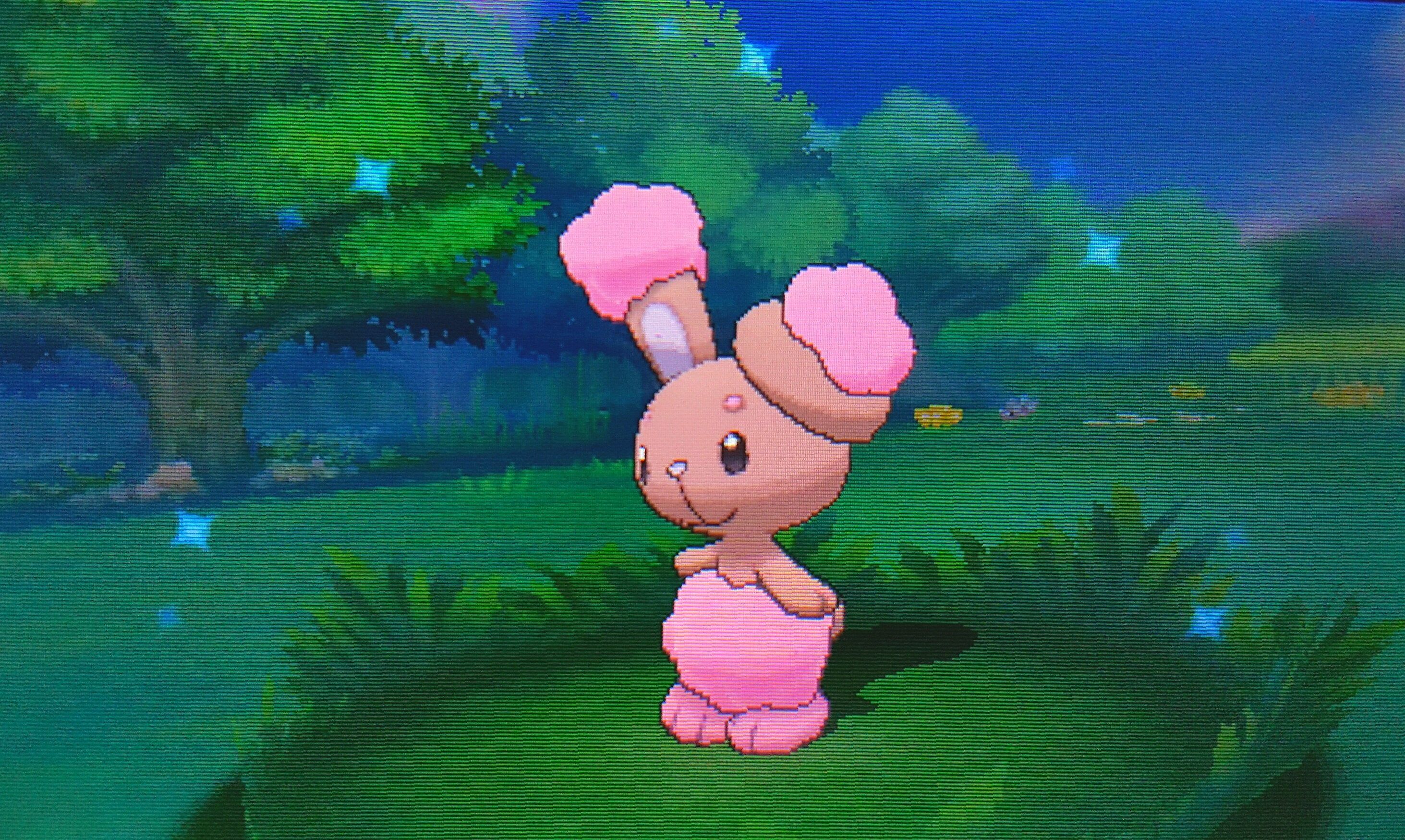 shiny buneary